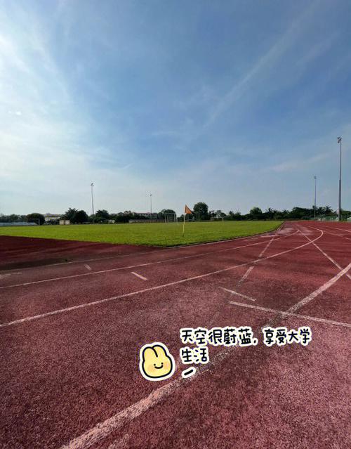 我的校园生活100字
