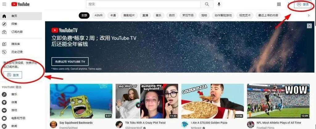 youtube国内如何下载