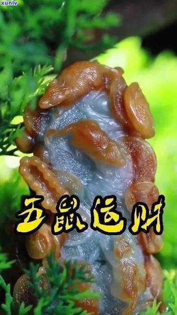 老鼠数铜钱什么寓意