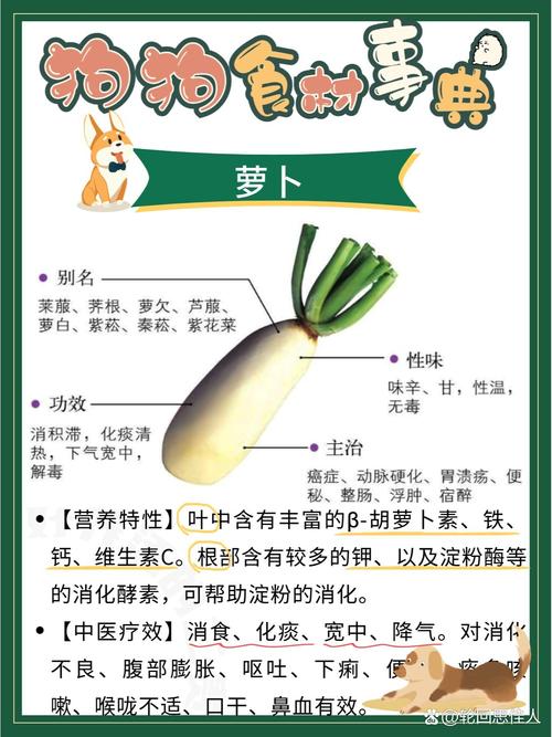 萝卜的药用功效和作用