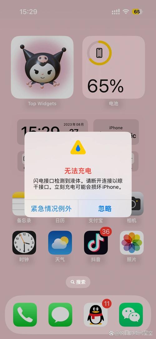 苹果打开数据连接无法上网