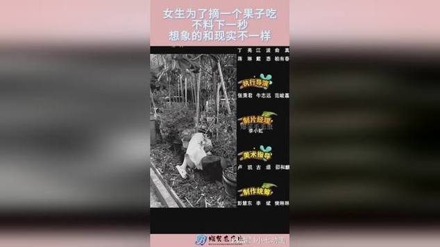 搞笑短视频段子大全 爆笑