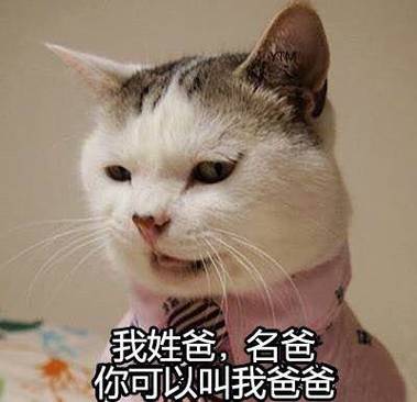 我是你爸爸下载