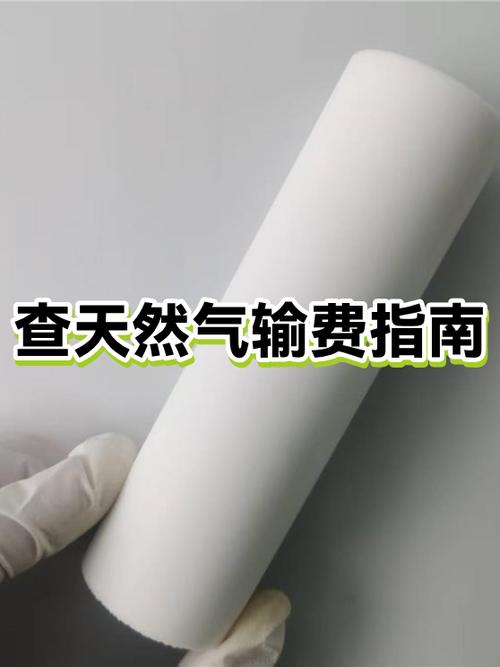 怎么查燃气每日费明细