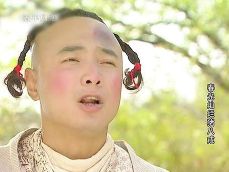 春光灿烂1-40集免费看