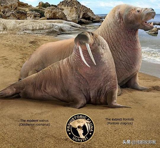 14种动物祖先图片