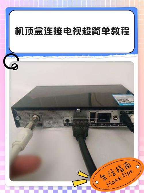 机顶盒连接路由器还是光猫