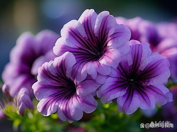 彩色代表什么寓意和象征意义