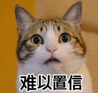 难以置信目瞪口呆表情