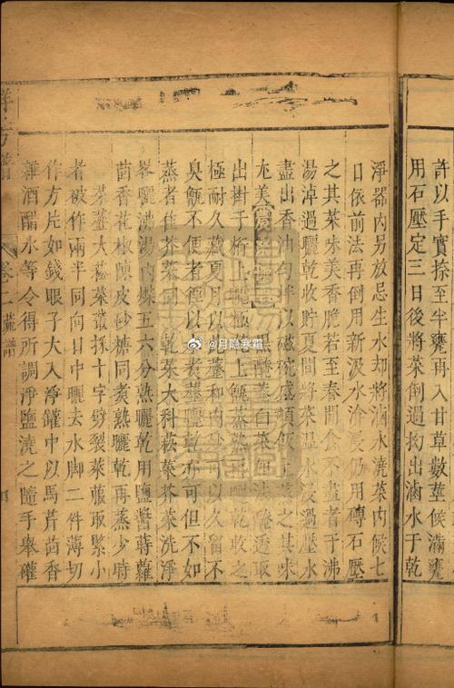 都市群芳谱百度小说