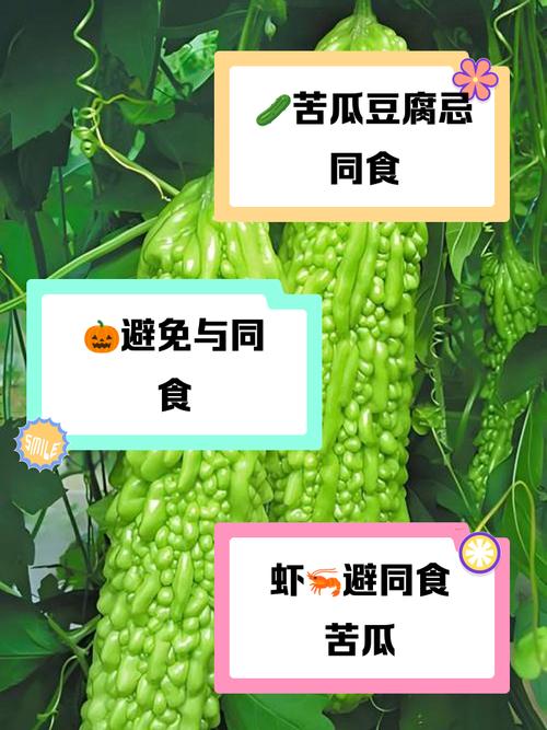与苦瓜相克的食物