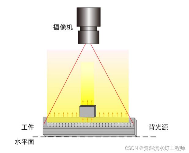 光型的种类