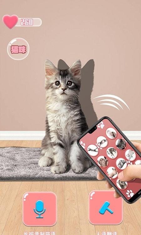 猫猫语音