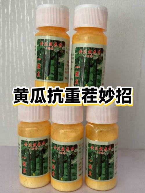 种黄瓜怕不怕重茬 种黄瓜怕不怕重茬