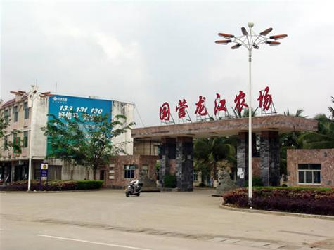 国营农场