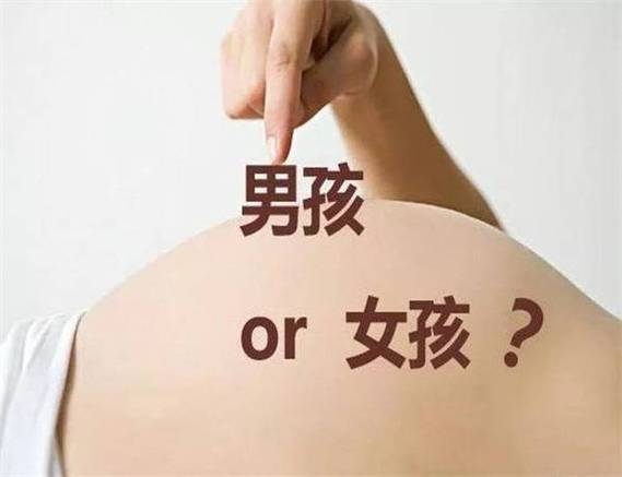 怎么辨别男孩女孩截图3
