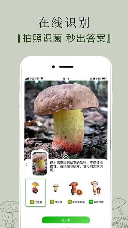 野生蘑菇识别软件