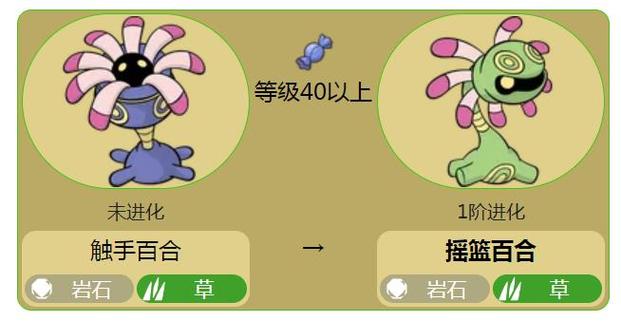 口袋妖怪漆黑的魅影触手百合太古羽