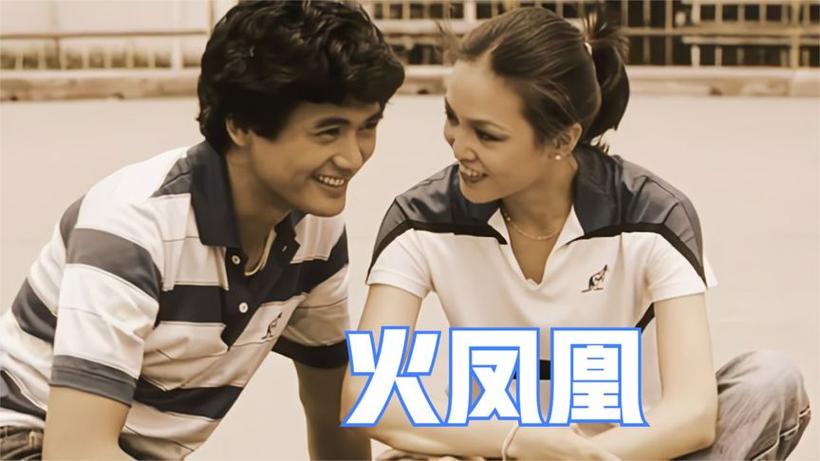香港电视剧火凤凰在线观看截图2