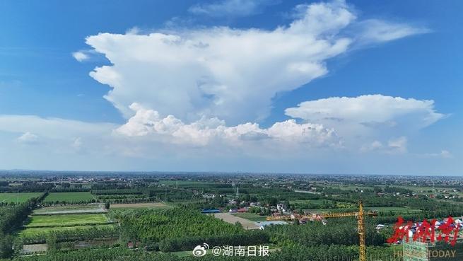 手机天气图标在桌面上不显示了