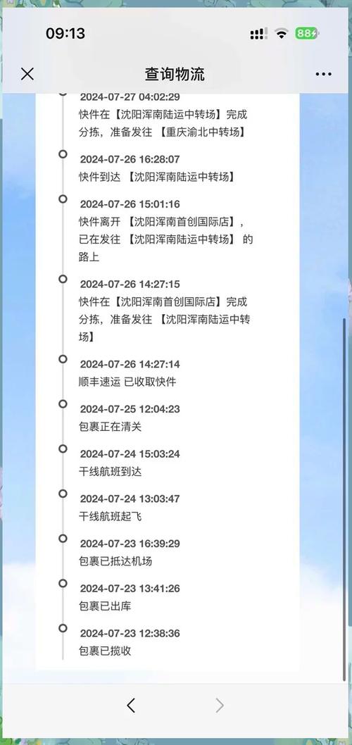 顺丰出了单号但是查不到是怎么回事