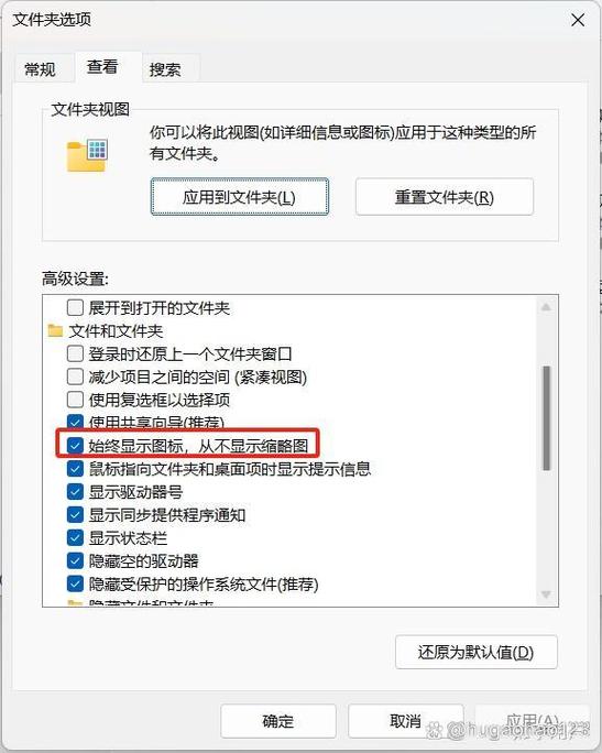 win11关闭文件夹预览