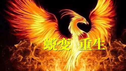 小米相册已经删除的相册又出来了