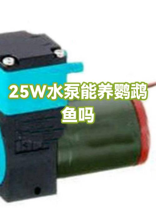 25w水泵适合多大鱼缸