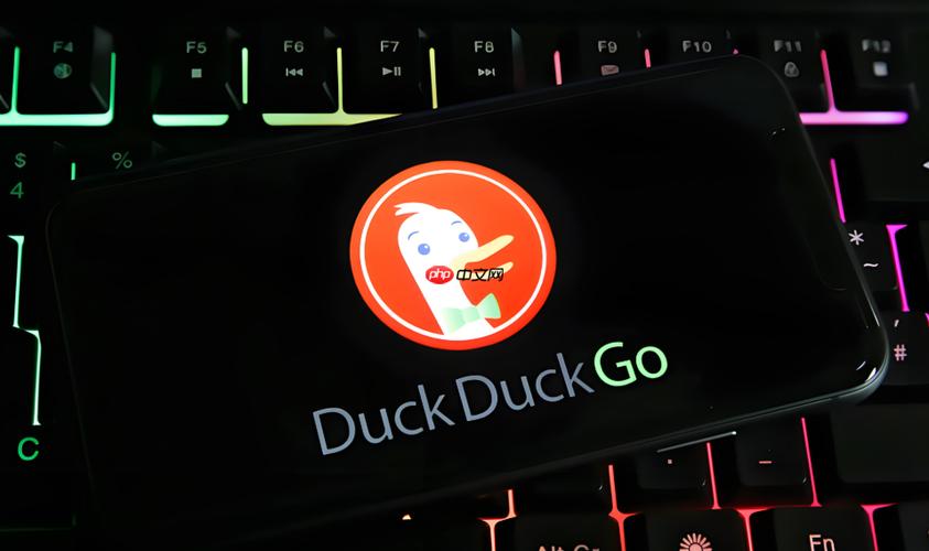 duckduckgo语言改为中文