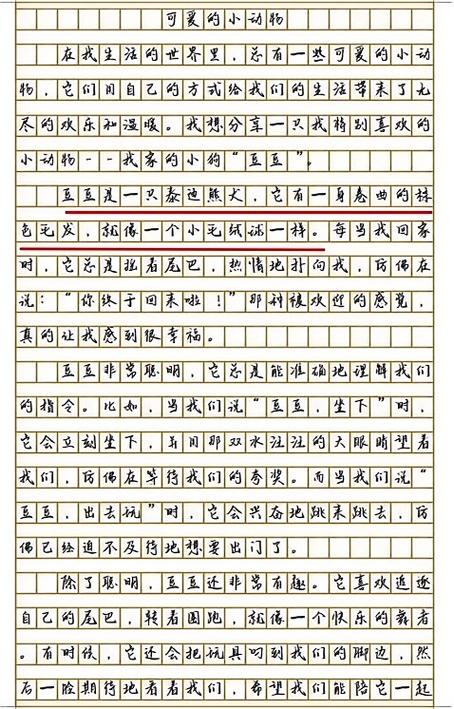 动物比赛作文