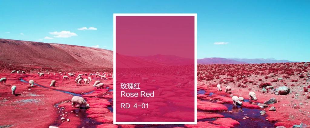 颜色的寓意和象征意义截图2