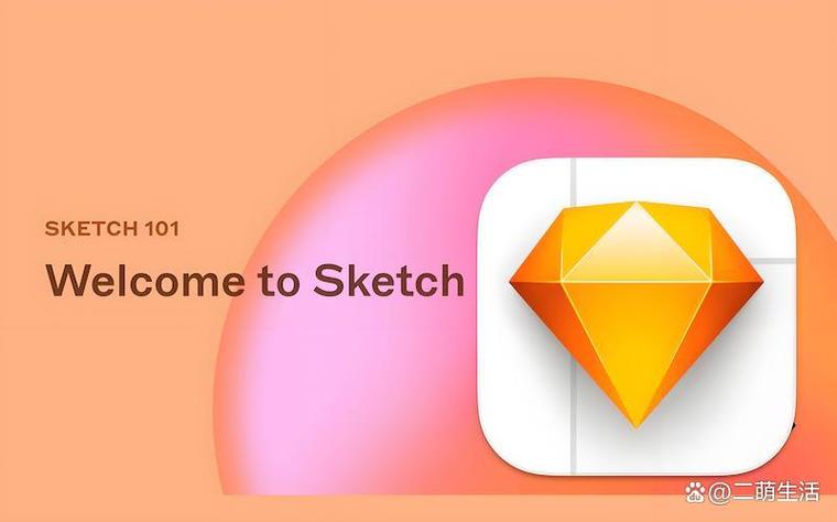 sketch中文版