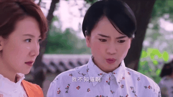 欢喜盈门杜玉珍扮演者