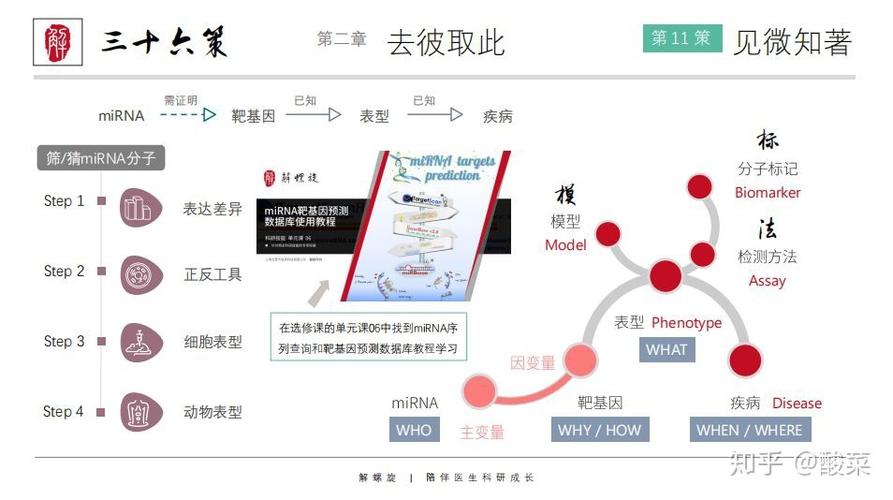解螺旋科研36策百度云