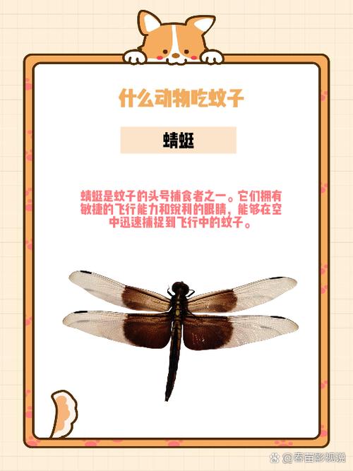 音响话筒回音太大如何消除