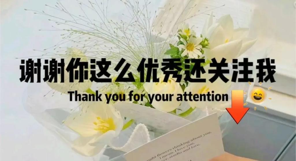 关注是什么意思粉丝是什么意思