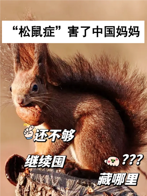 松鼠症仓库页1 松鼠症仓库页1