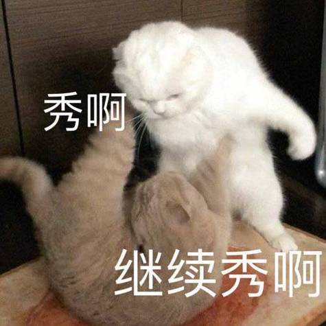 秀~的表情包 秀~的表情包
