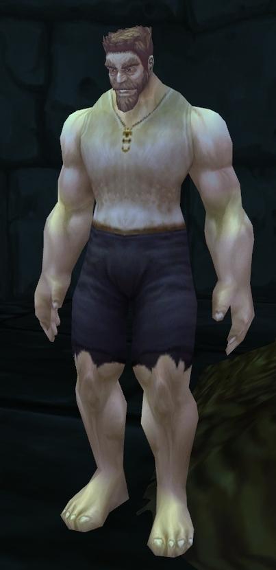 魔兽世界怀旧服温德索尔元帅任务流程