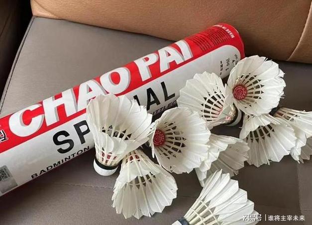 一个羽毛球大约需要多少钱截图3