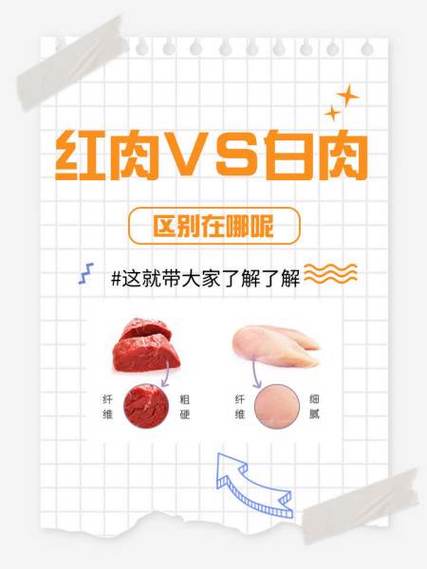 红肉和白肉各是什么截图1