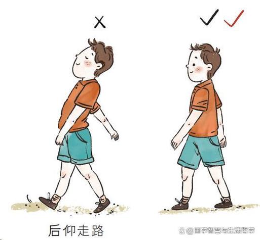 支付宝296克能量需要走多少步 支付宝296克能量需要走多少步