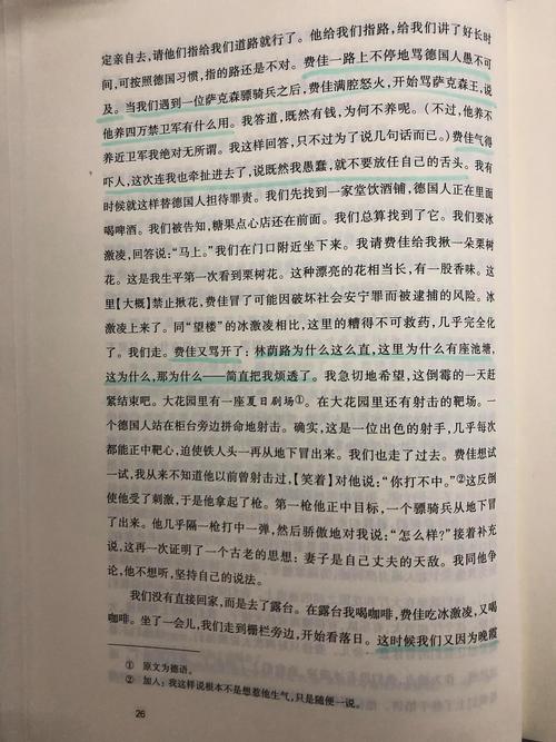 阮芊的开发日记txt百度云资源