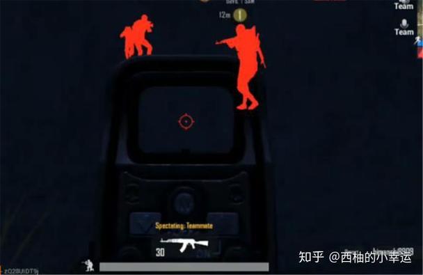 刺激战场国际服挂多吗