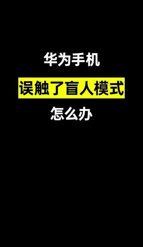 退出盲人模式截图2