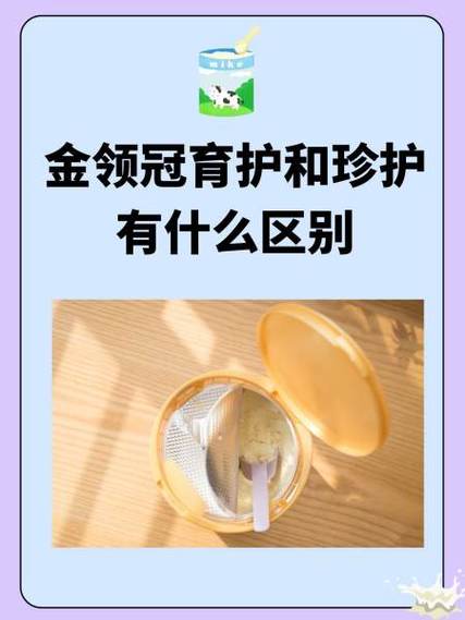 育护紫罐和黄罐的区别