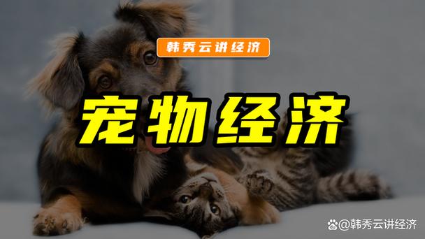养殖宠物狗繁殖的利润