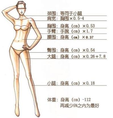 女人最完美的三围