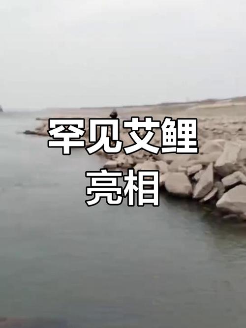 这个面试有点硬艾鲤