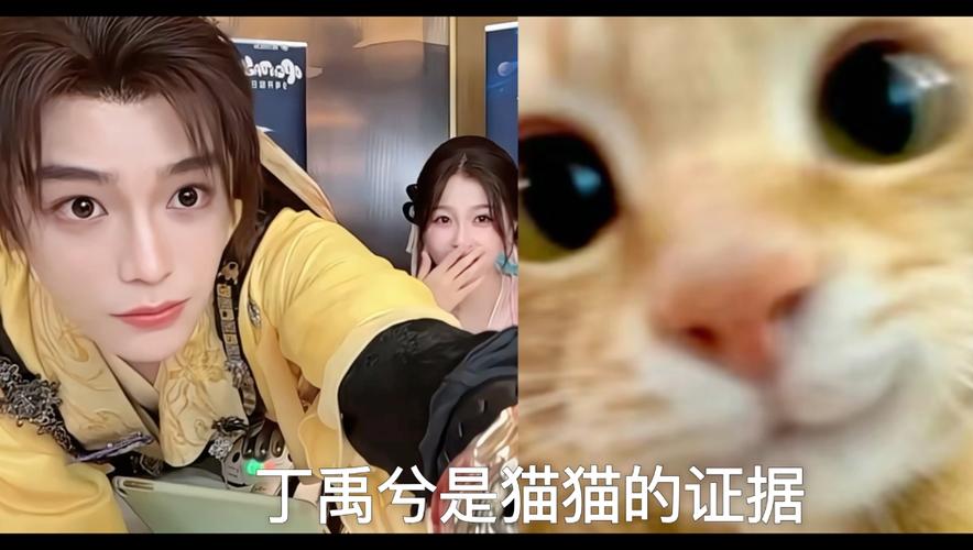 猫猫语音截图3